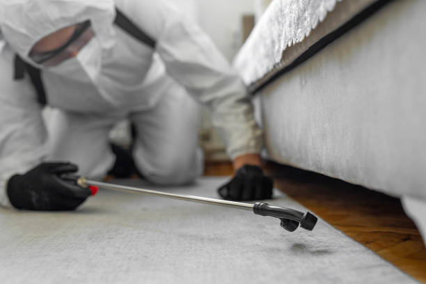 Professional Termite Control technician working in New York Mills, NY