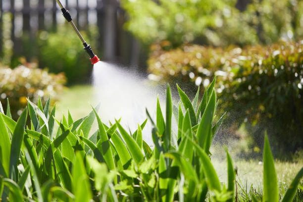24/7 Emergency Termite Control experts in New York Mills, NY