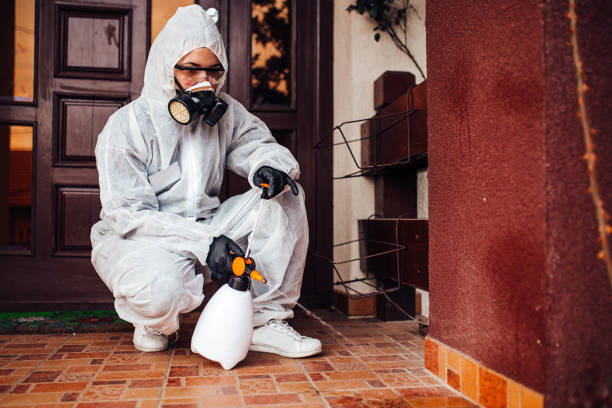 Reliable Termite Control contractor in New York Mills, NY by Nex Pest Control